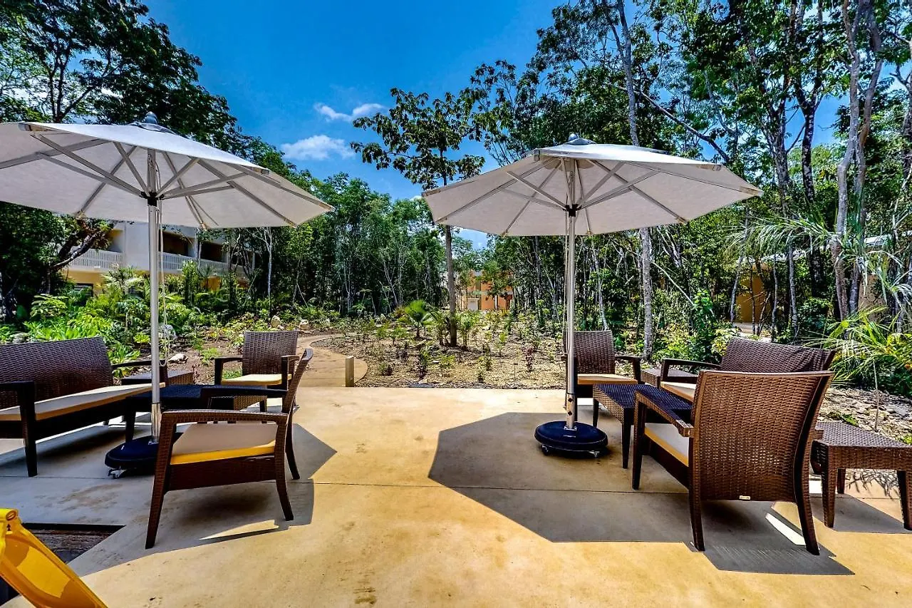 Swaying Palms At Tao Edena 50 Villa Tulum Mexico