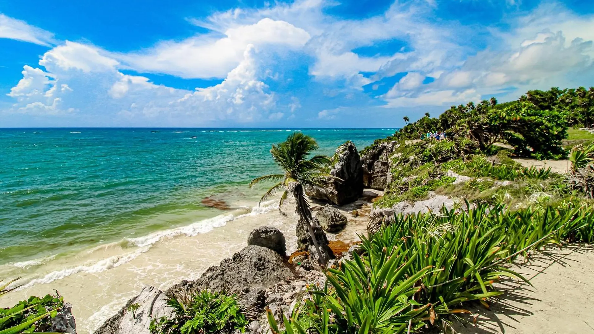 Swaying Palms At Tao Edena 50 Villa Tulum Holiday home